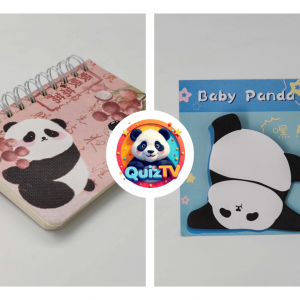 Pandás suli csomag kicsiben: jegyzetfüzet és öntapadós panda cetli